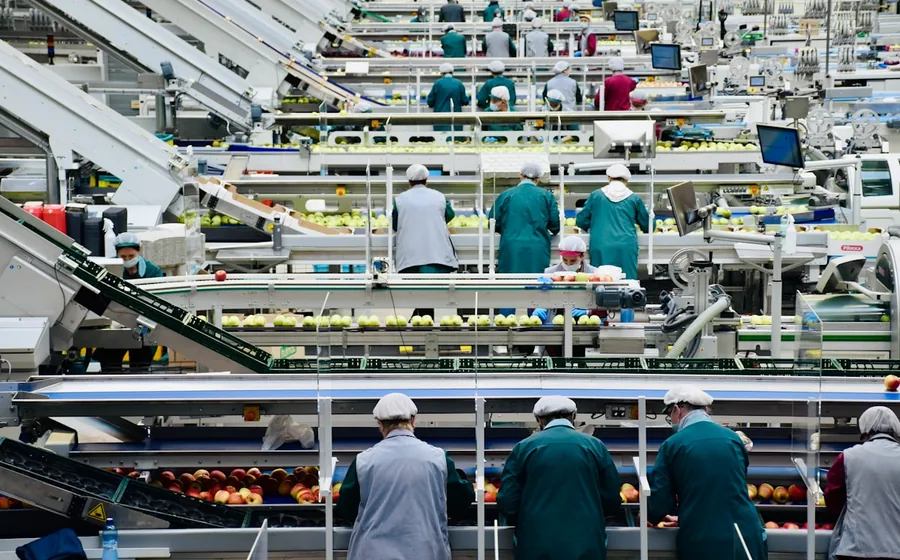 Workers on a food production line packing fresh produce into trays at a food manufacturing plant